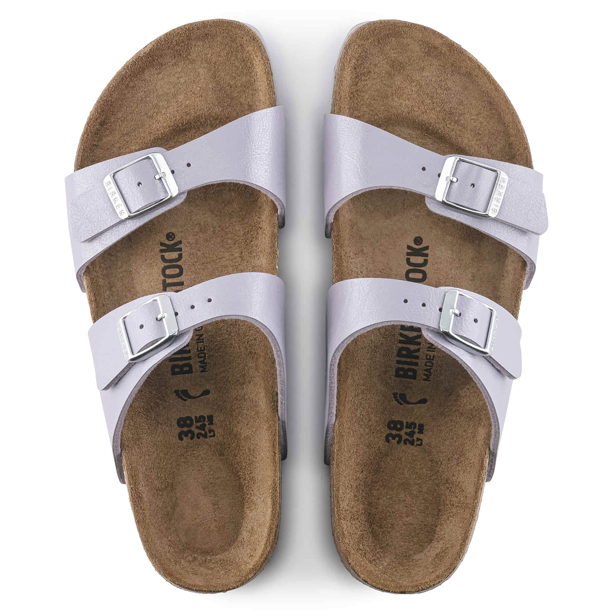 Sydney Birko-Flor - Image 2